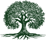 Árbol